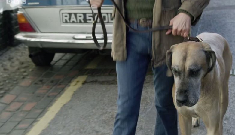 AFB2E947-9DB4-4469-8411-FBA6C9FA701A-249-000000147D6101DA