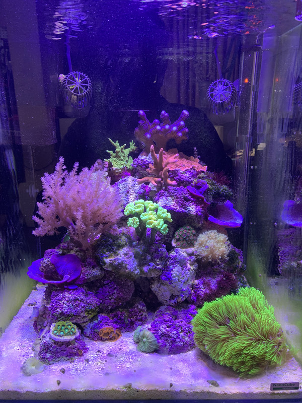 D1505C3E-84F2-4F7B-9D46-8585E49DA809