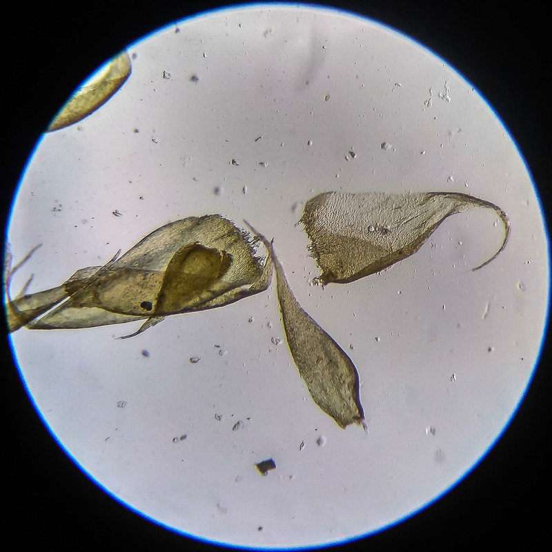 IMG 20250614 203753 HDR