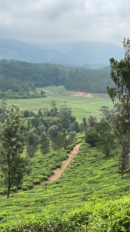 2A5304E8-C95C-4496-B8DA-D580BA6BB5C8