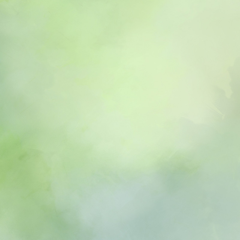Into The Jungle Papers (21)