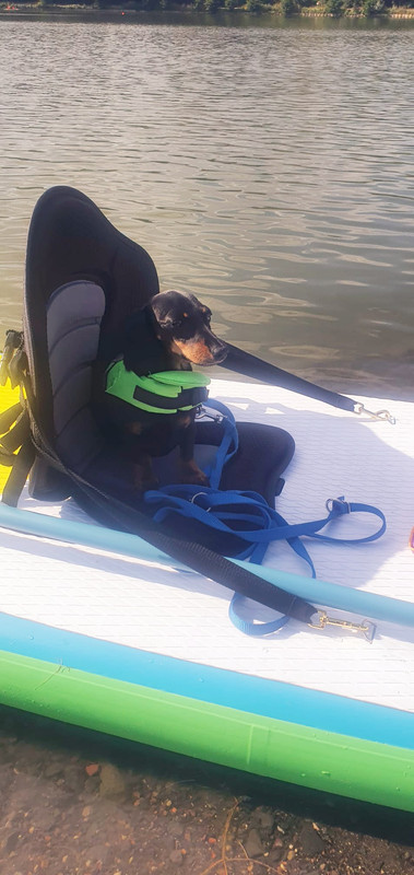 [Image: IMG-20220806-WA0003.jpg]