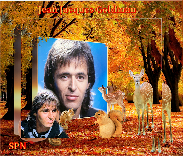 jj-goldman-automne