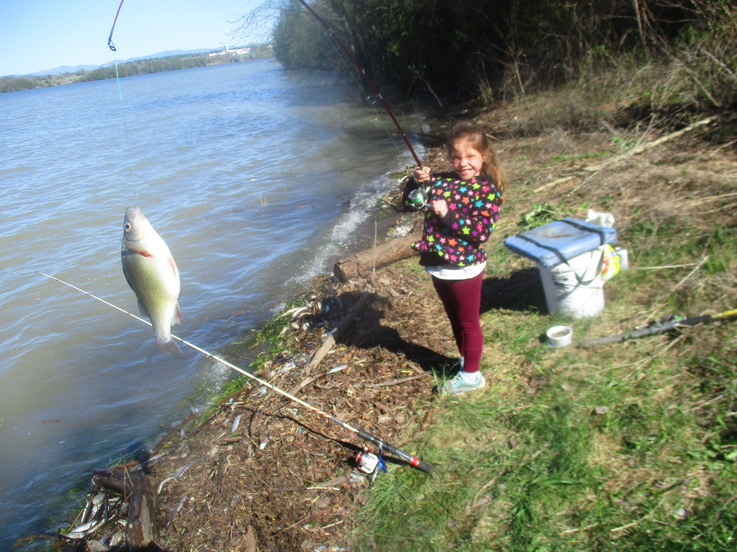 alayna fishing at stankys 004