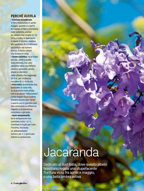 Il Mio Giar GIu-Lug 2024 (11)