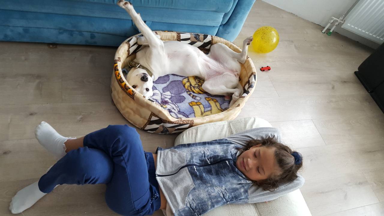 IMG-128229f7fa2576f137a175c0fddf7e35-V