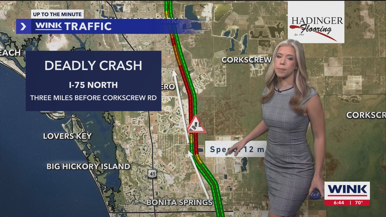 WINK News at 630am_20241101_10301100.ts_snapshot_15.41.438