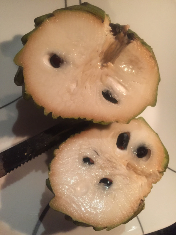 03451CC4-A191-4F37-9DBA-ADED2EBC385B