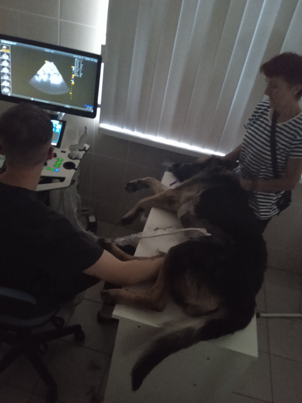 C3231A15-B970-4932-8AEE-D9B3C82226CE