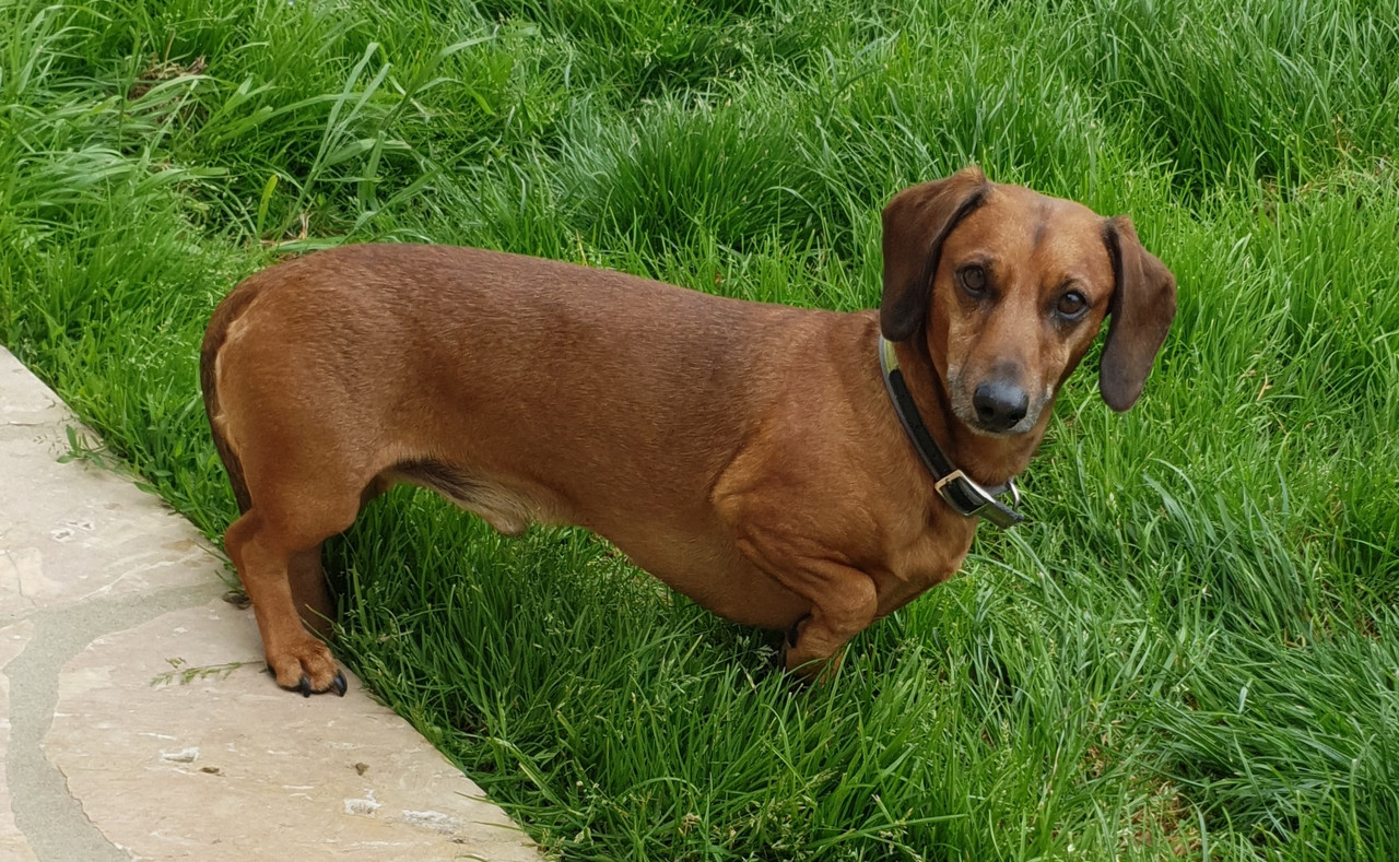 [Image: 20210525-170442.jpg]