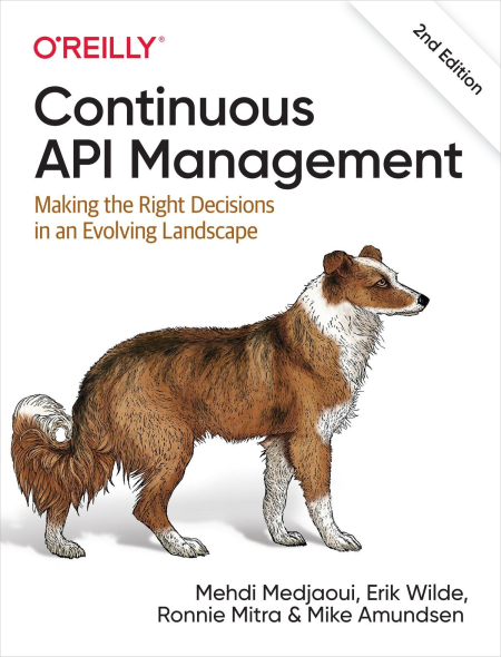 Continuous API Management: Making the Right Decisions in an Evolving Landscape, 2nd Edition (True EPUB)