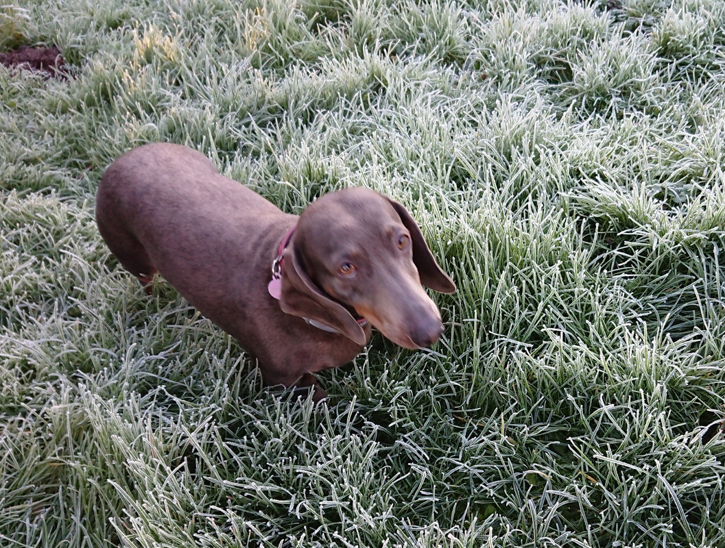 [Image: 20250103-125212.jpg]