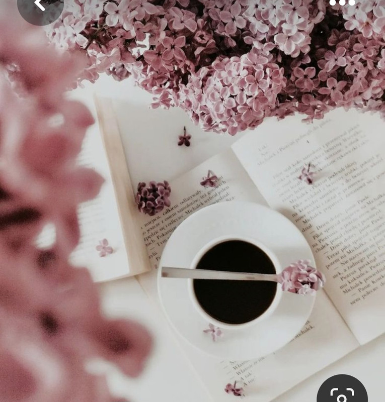 Screenshot_20230426_220332_Pinterest