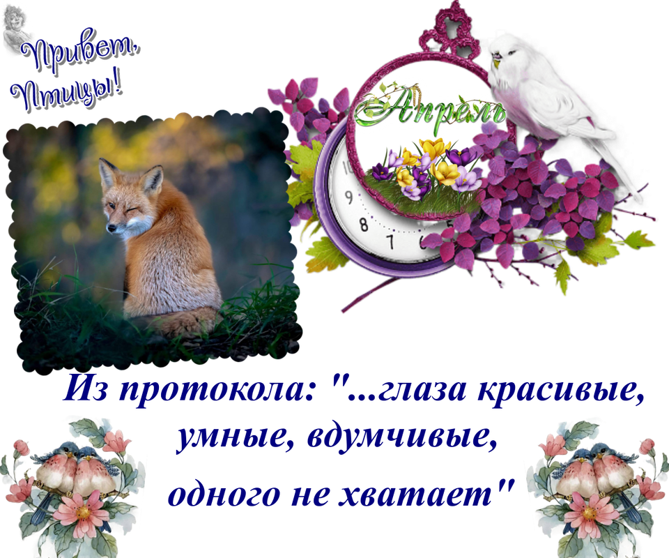 https://i.postimg.cc/bwTf2Jxp/09-04.png
