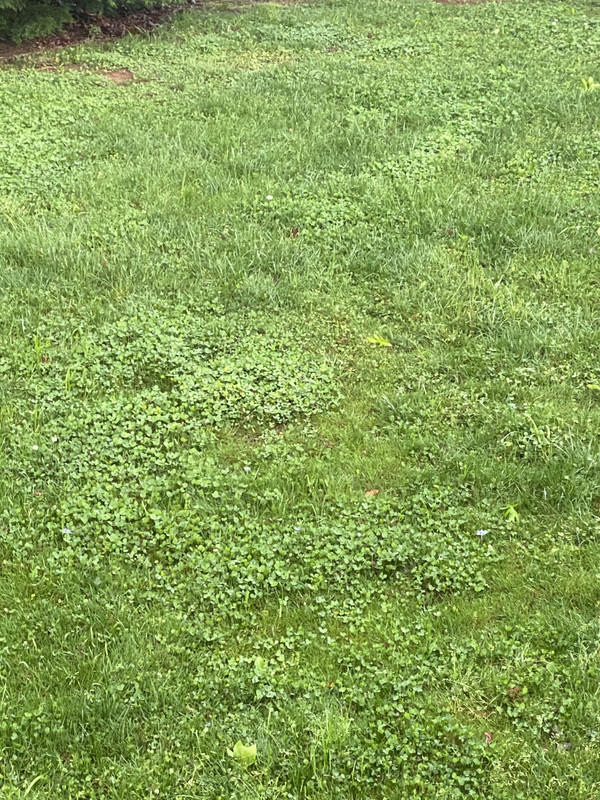 53A5F2DC-EB15-4FE9-9663-31D72F337F19