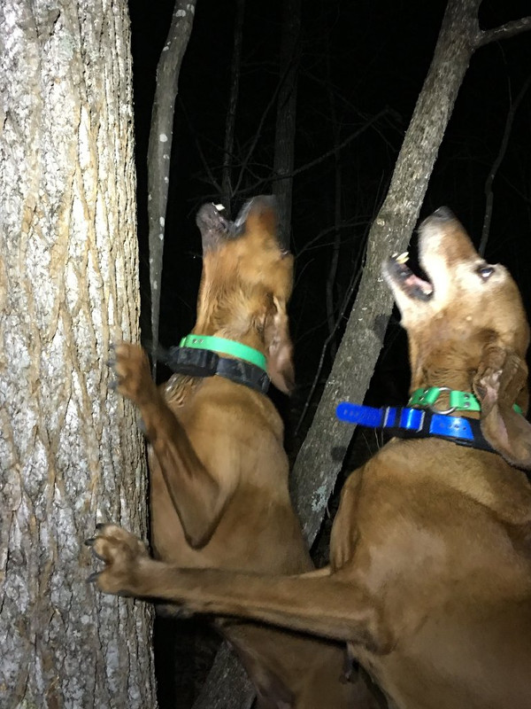 5E25FA94-98D1-4539-8D06-FD34C30A3344