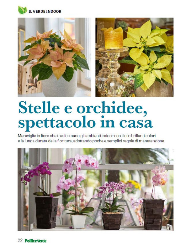 Pol Ver Dic 2025 Gen 2026 (7)