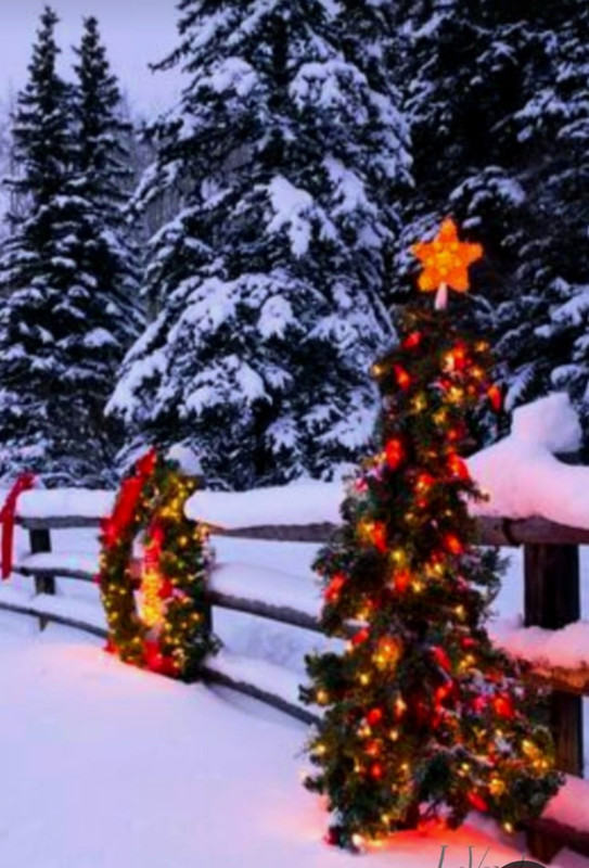 Screenshot_20231217_184407_Pinterest