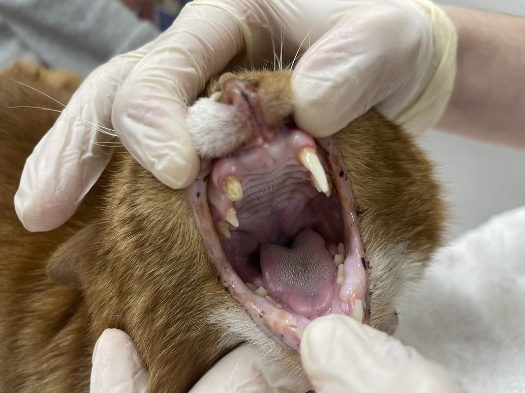 005739D8-AD98-4148-975F-513A09104CB4