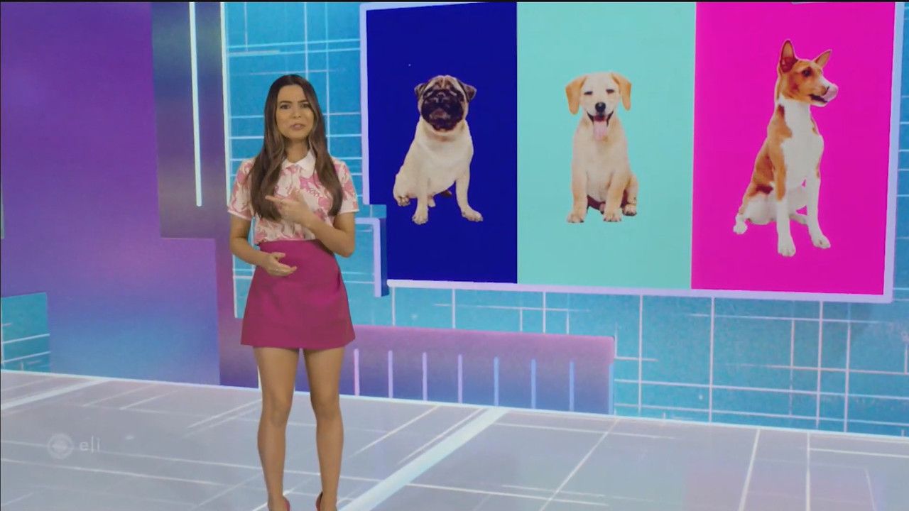 Mission.Unstoppable.S06E22.Creating.Animatronics,.Cute.Aggression.and.Composting.ts_snapshot_10.41.2