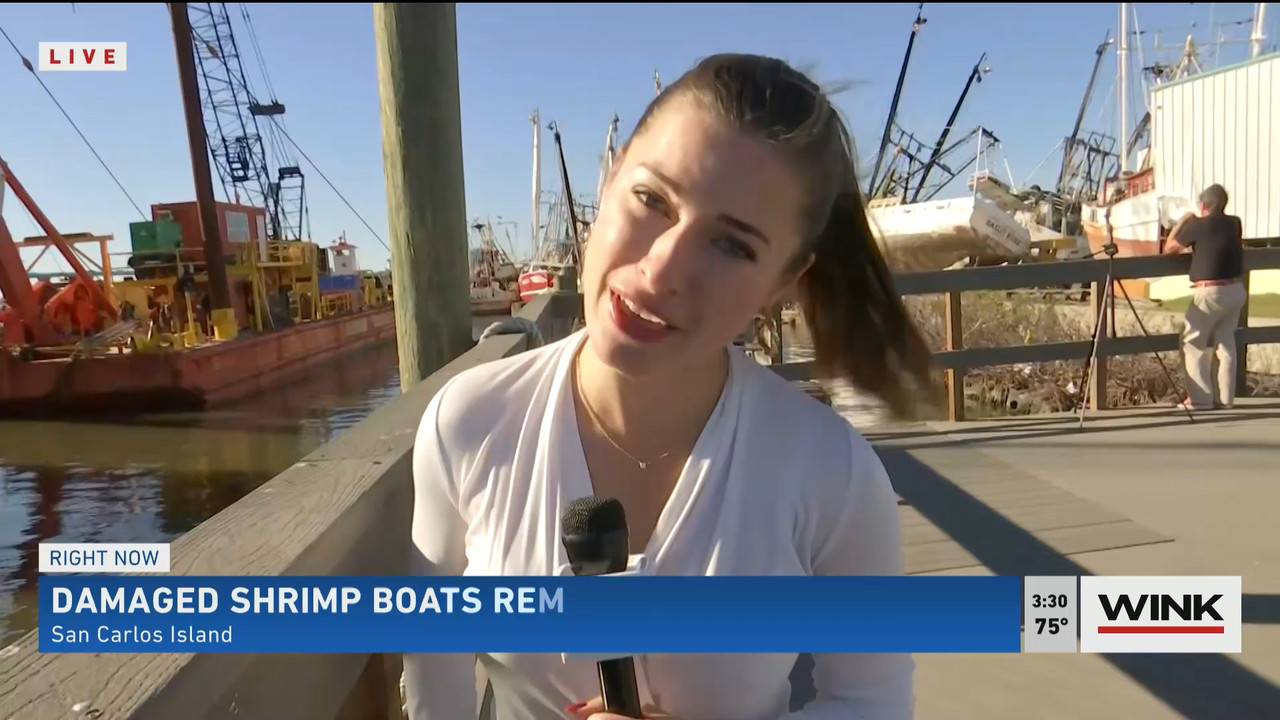 01.06 - 20.00.00 - WINK News at 3pm  ᴺᵉʷ..ts_snapshot_00.31.30.020