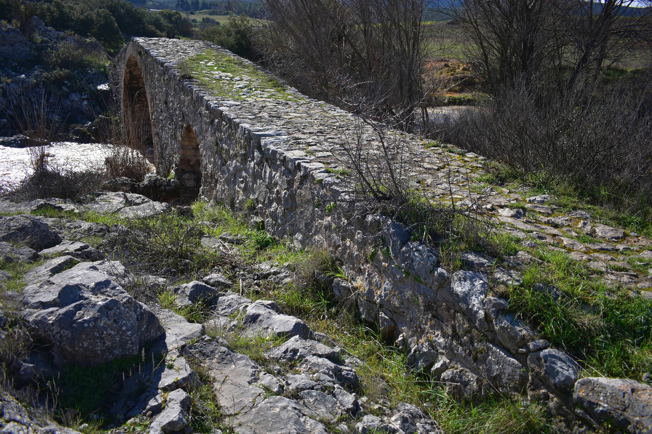 Πέτρινο γεφύρι Δαφνούλας (4)