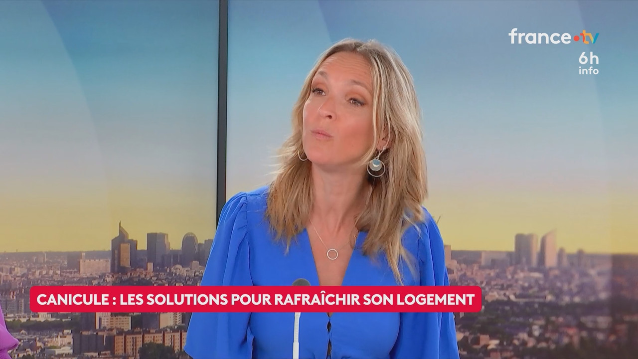 Le 6h info (France 2) 2026 06 20 04 55 67 ts snapshot 22 11 336