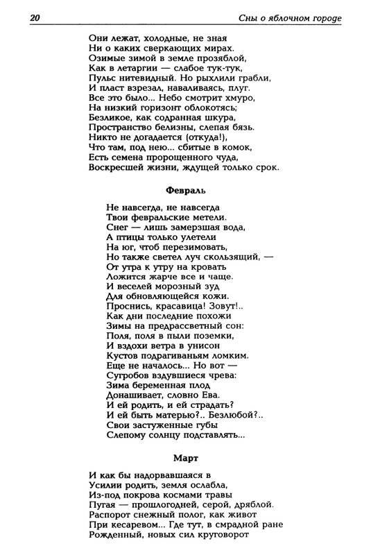 Mashevskij-Aleksej-Sny-o-jablochnom-gorode-page-0021