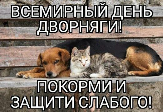 IMG_20231202_114144_878