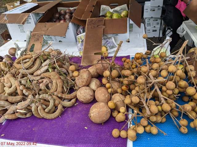 [Image: PXL-20220507-134246952.jpg]