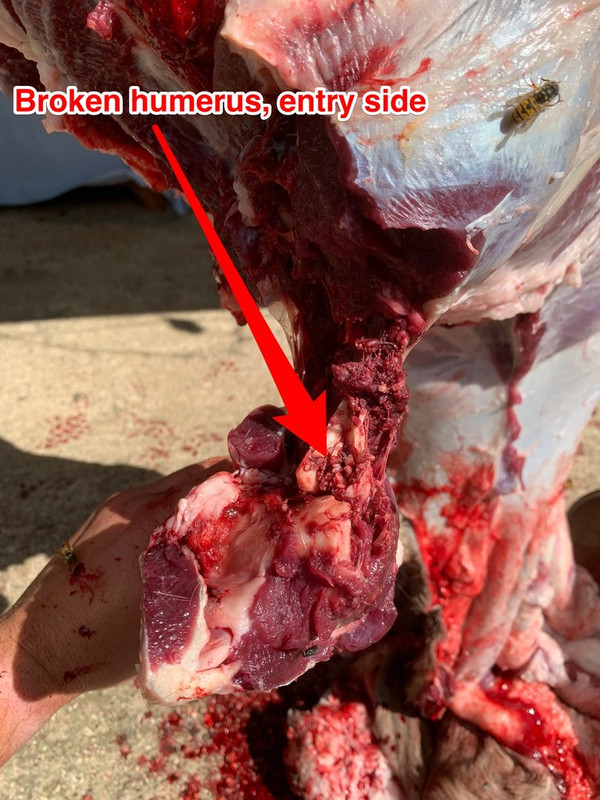 EBCCC312-0326-4FFD-9017-D78F73FE2E17