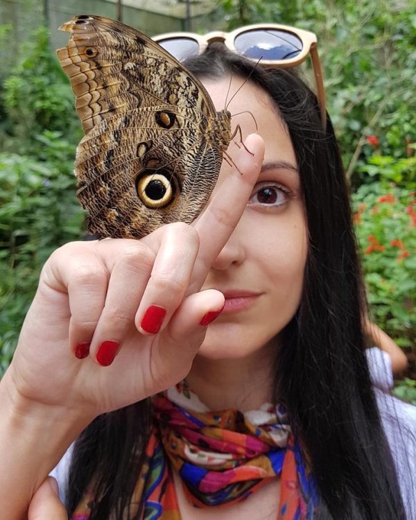 Naturaleza-16