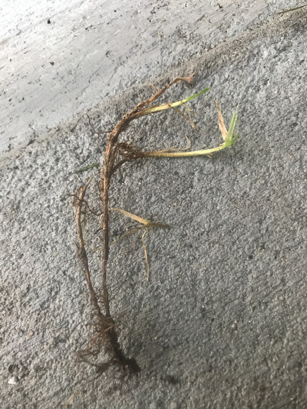 6 E561 DD0 B8 A8 4 EEA A86 F 240 C485188 D5 — Postimages