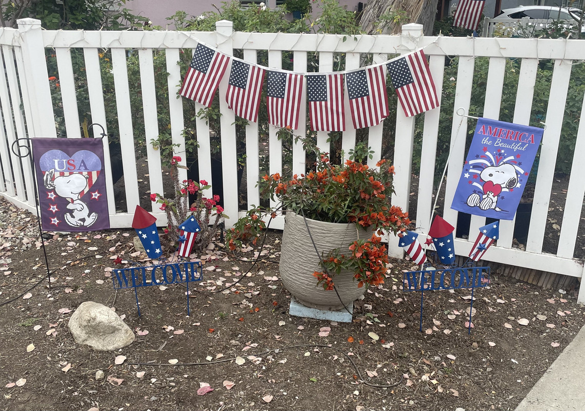 11B96F2C-4907-408F-A96A-D1E5C7C2B821_1_201_a