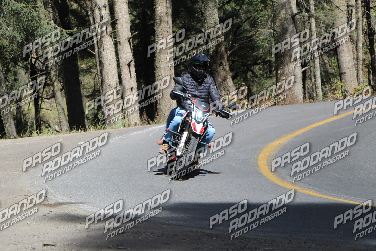 IMG 8328 wm 6894250 300000001 watermarked — Postimages