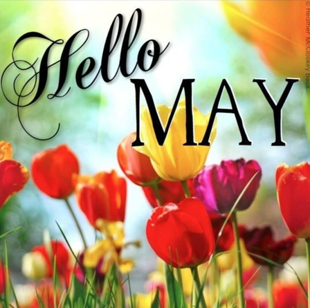 May_Hello_Tulips
