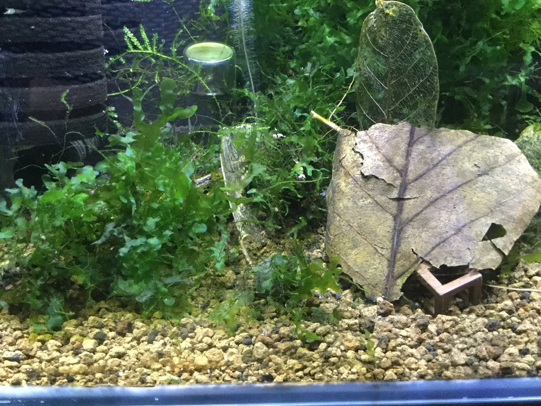 9950D6AF-B2BA-4C77-B18E-92880F8AFABD