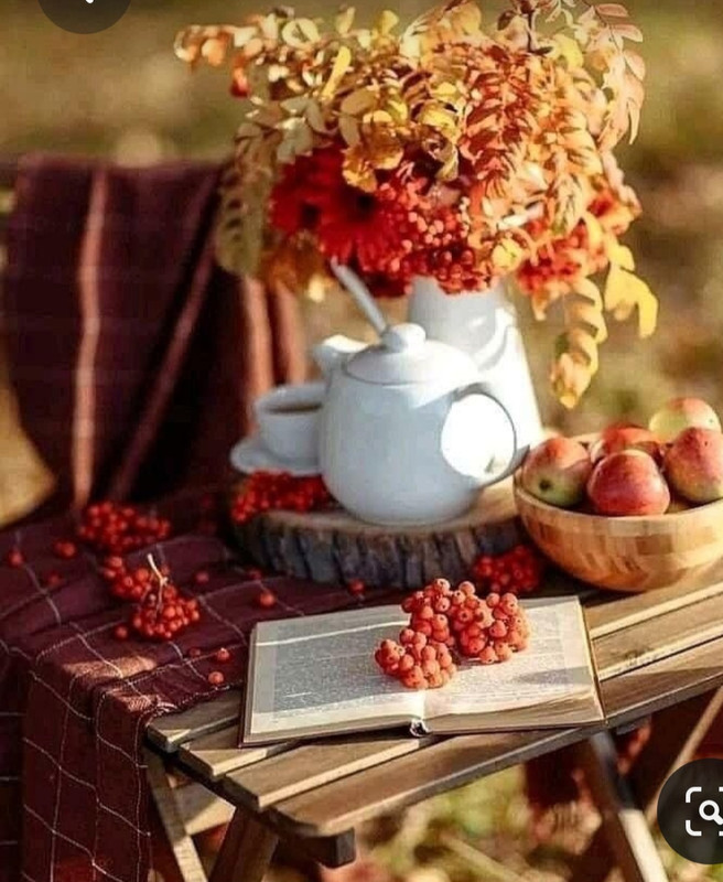 Screenshot_20230712_004241_Pinterest