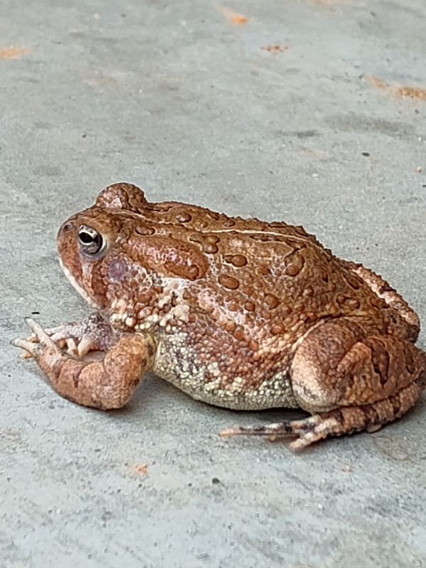 IMG_20250821_152820475