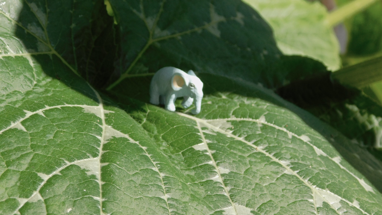 Август дачный кукольный 2023 153