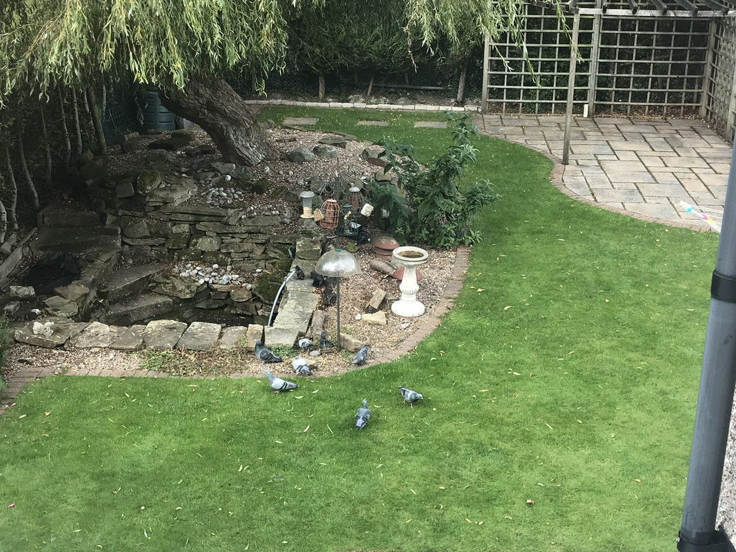 7715221E-656F-497F-9814-0DBE9FF1094C