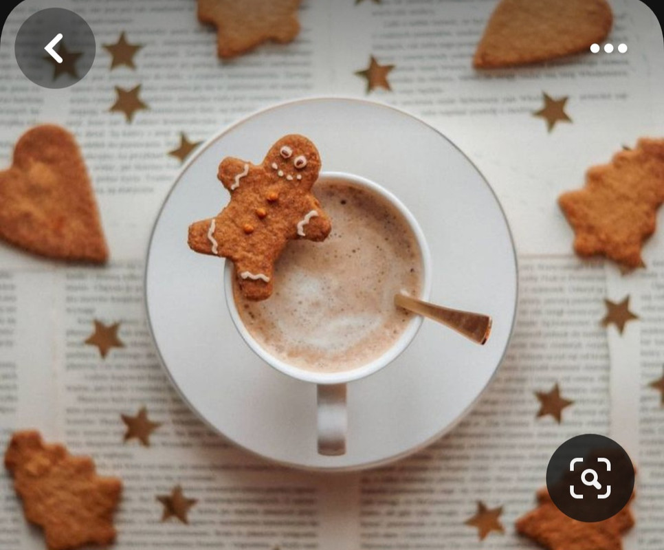 Screenshot_20231122_214744_Pinterest