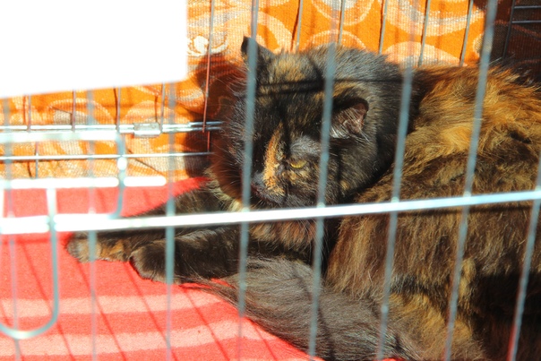 088B223F-B440-4DC2-BB3E-B0BE7A0EFDAF