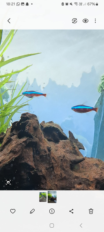 Screenshot_20250628_182103_Gallery