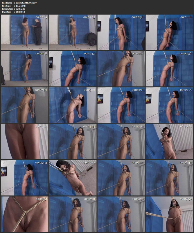 Bdsm4324637.wmv