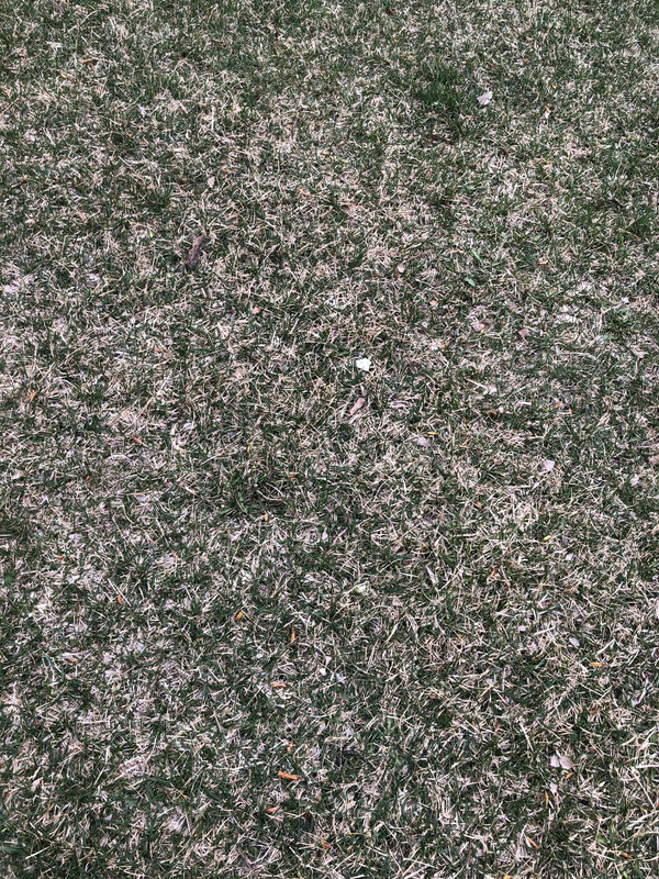 4EA94144-A25B-4925-9619-A4F1FADC341F