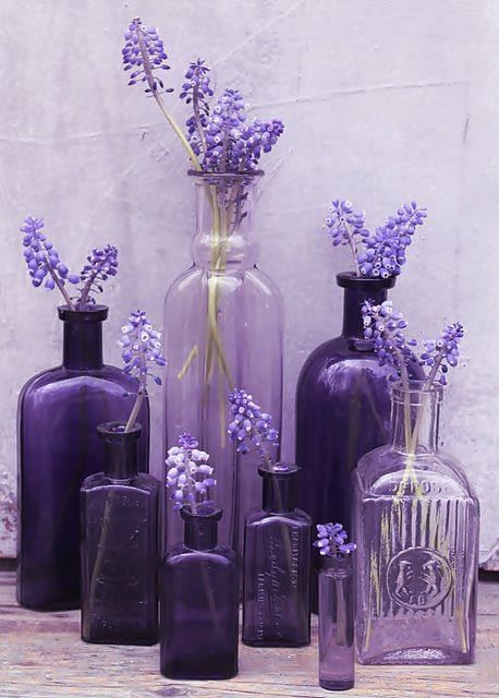 purplebottles.jpg