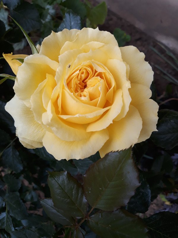 20190530_184640