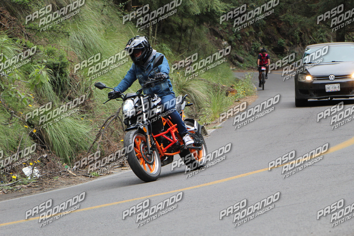 IMG 4370 wm 1659108 3 watermarked — Postimages