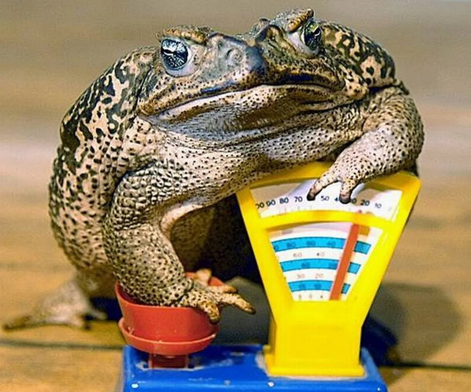 F3353B1E-EBCD-47CC-B887-84DCF5C78C6D